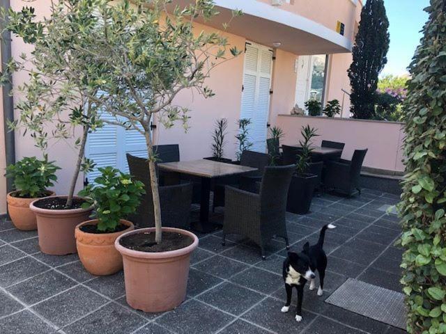 باشْكا Apartments Eda المظهر الخارجي الصورة